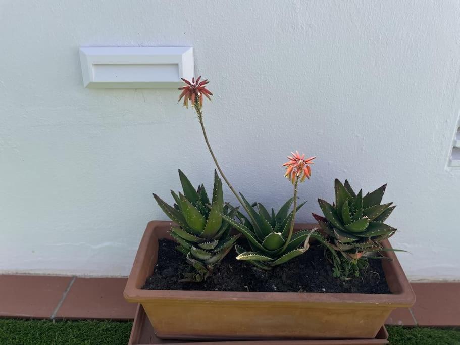 Villa Casa Lola Conil, Azotea Al Mar Y Parking Solo Familias O Parejas Conil De La Frontera Exterior foto